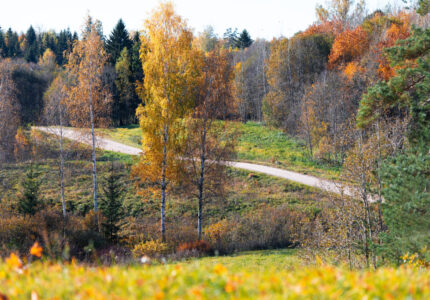 In de herfst veranderen de heuvels in een prachtig palet van warme kleuren.