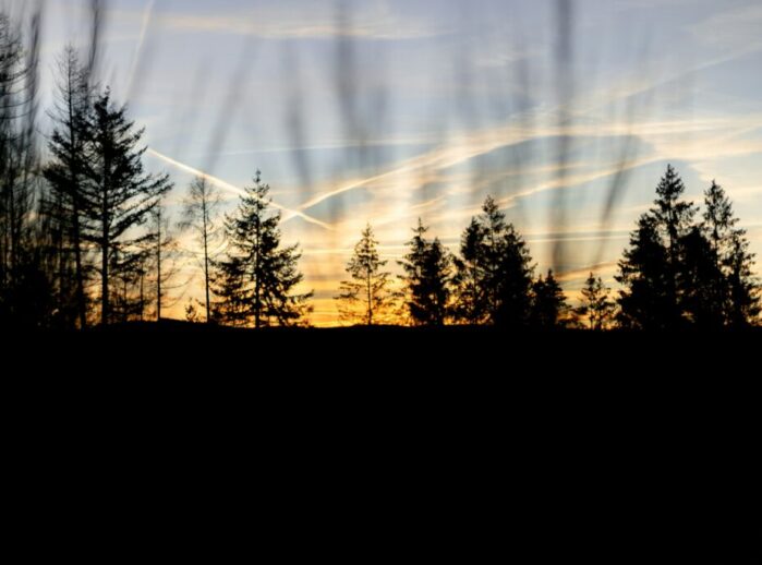 Zonsondergang achter de bossen van het Sauerland met silhouetten van sparren en een kleurrijke avondlucht.